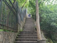 -紫金山山顶公园