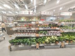 -鹿岛生活(熙地港店)
