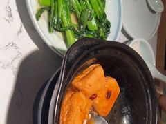 -大榕树下顺德菜(融创茂店)