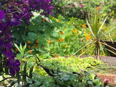 -优游吧斯邹族文化部落