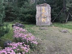 -美人松苑