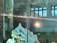 -帝企鹅自助餐厅•儿童岛•真企鹅(长隆企鹅酒店)