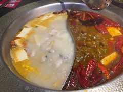 -麻田会 ·鲜活现烹·牛蛙火锅(珠江新城维家思广场店)