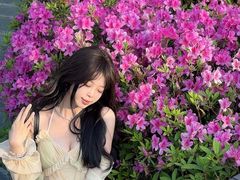 -佛冈森波拉度假区