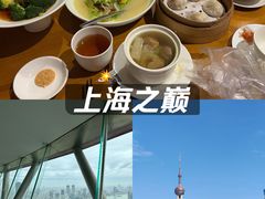 -乐忻皇朝(上海中心大厦店)