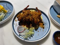 -点都德·毕德寮