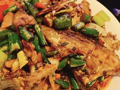 -鸿顺老铁锅美蛙鱼府(解放碑店)