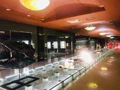 -青岛贝壳博物馆