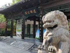 -莲湖公园