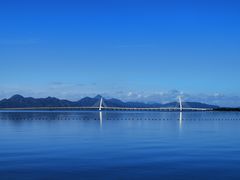 -福田红树林生态公园