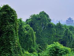 -城隍阁
