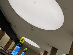-谢列梅捷沃国际机场