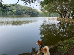 -三水森林公园