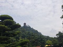 -缙云山景区