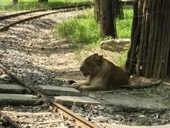 -秦皇岛野生动物园