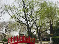 -玲珑塔公园