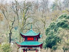 -岳麓山风景名胜区