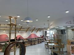 -喵园·猫主题咖啡厅·撸猫·猫咖(国贸店)