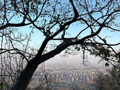-南京老山国家森林公园