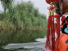 -白洋淀景区
