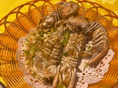 濑尿虾-老字号蛇口德记烧腊饭店·海鲜加工