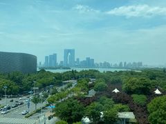 -苏州金鸡湖文博诺富特酒店