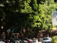 -广州市第一人民医院(院本部)