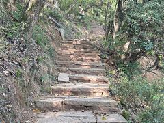 -杭州半山国家森林公园