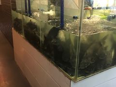 -湄公河秘制烤鱼(西双十贰城商业中心店)