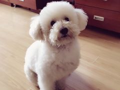 -宠颐生中康贝怡动物医院