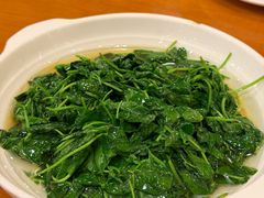 酒香菜头-牧羊餐厅