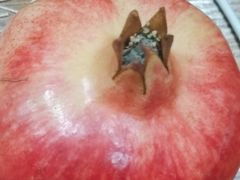 -学习谷日语培训日本留学·多语种外语教学(海淀人大分部)