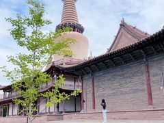 -张掖大佛寺景区