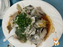 葱油淋鲈鱼-粤·向群饭店(泮塘路店)