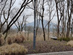 -西湖风景区-江洋畈生态公园