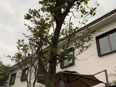-悦哉·派对·草坪婚礼·围炉煮茶(三圣乡店)