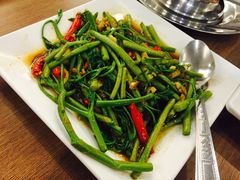 含羞草-建兴酒家(班塔通分店)