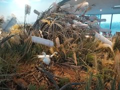 -漩门湾国家湿地公园