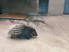 -西安秦岭野生动物园