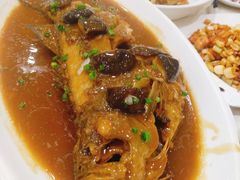 红烧鲈鱼-大鸭梨烤鸭店(金顶街店)
