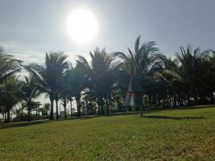 -三亚海棠湾喜来登度假酒店大堂吧