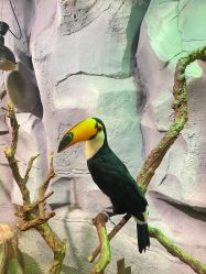 -Zoolung Zoolung动物主题公园(海信广场店)