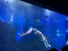-江和美海洋公园