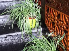 -张鸭子大酒楼(南滨路店)