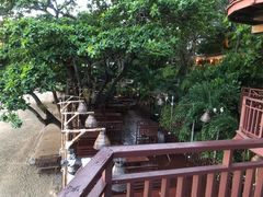-卷心菜和避孕套餐厅(Pattaya)