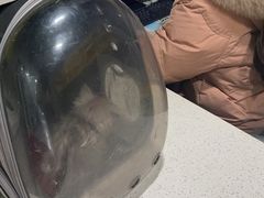 -瑞鹏瑞爱宠物医院·全科·猫科·血液透析中心(龙头寺店)