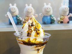 红油辣椒冰淇淋-麦丽丝红油辣椒冰淇淋(江家巷店)