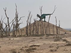 -二连浩特国家地质公园