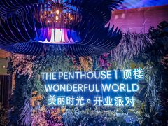 -The Penthouse酒吧