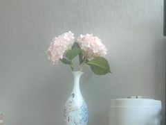 -浦江悦(陆家嘴保利广场店)